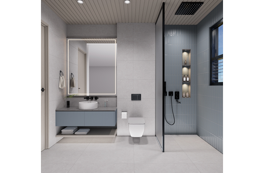 Standard Washroom